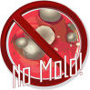 No Mold
